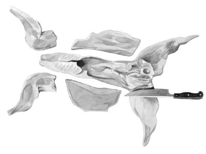black and white illustration of a knife starting to remove the hind legs of a&hellip;